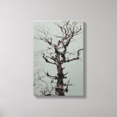 Dunkelgeflechteter, wetterbedeckter Baum am Blauen Leinwanddruck (Vorderseite)