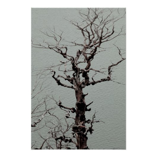 Dunkelgeflechteter, wetterbedeckter Baum am Blauen Poster (Vorderseite)