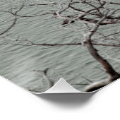 Dunkelgeflechteter, wetterbedeckter Baum am Blauen Poster (Ecke)