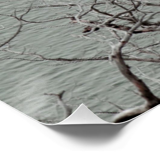 Dunkelgeflechteter, wetterbedeckter Baum am Blauen Poster (Ecke)