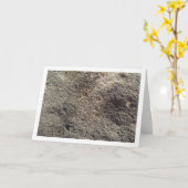 Dunkelgrauer Felsen, Steinhintergrund Karte (Gelbe Blume)
