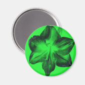 Dunkelgrün auf hellgrünen Amaryllis Magnet (Vorderseite/Rückseite)