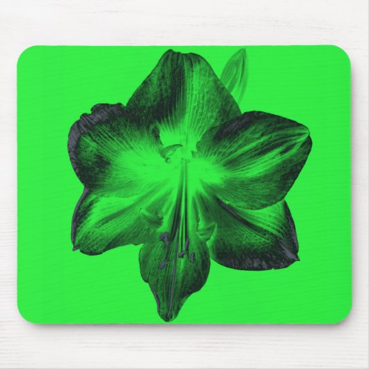 Dunkelgrün auf hellgrünen Amaryllis Mousepad (Vorne)