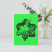Dunkelgrün auf hellgrünen Amaryllis Postkarte (Stehend Vorderseite)