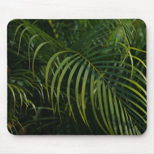 Dunkelgrüne Blätter, einfache Natur Mousepad (Vorne)