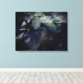 Dunkelgrüne Blätter und Regentropfen Leinwanddruck (Insitu (Holzboden))