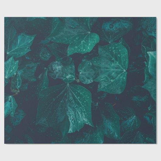Dunkelgrüne Efeu Blätter Wasser fällt Geschenkpapier (Flach)