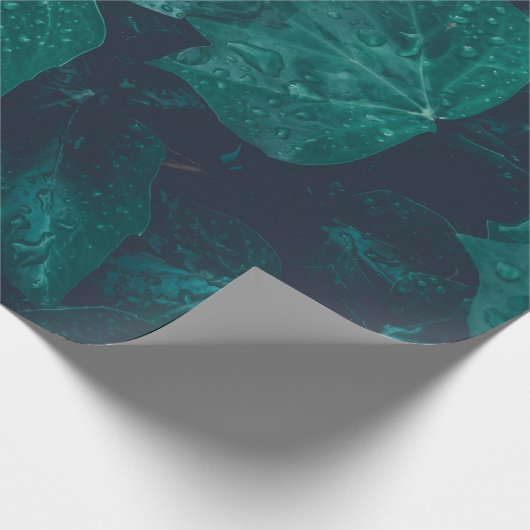 Dunkelgrüne Efeu Blätter Wasser fällt Geschenkpapier (Ecke)