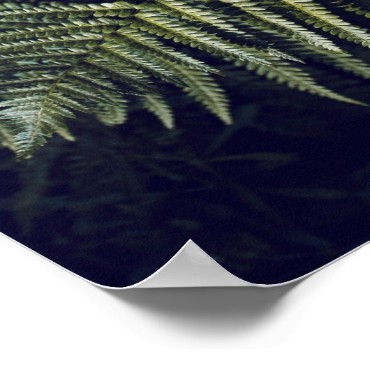Dunkelgrüne Fern-Blätter Botanisch Poster (Ecke)