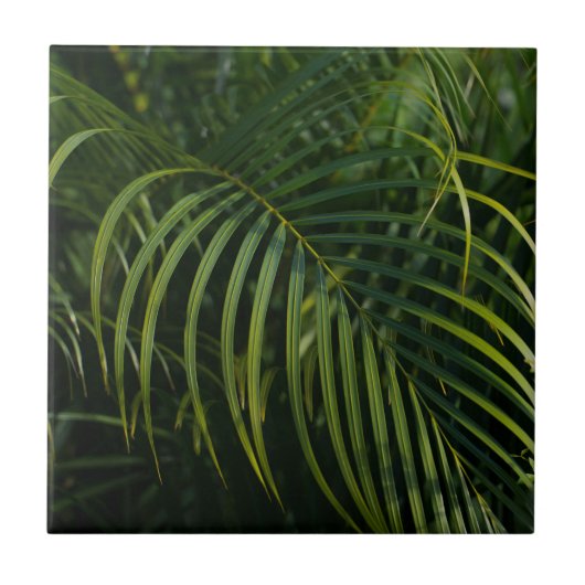 Dunkelgrüne Palmwedel Fliese (Vorderseite)