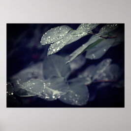 Dunkelgrüne Regenwasser-Blätter Poster