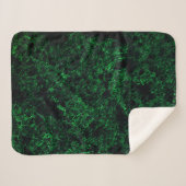 Dunkelgrüne Textur, zerstört oder korrodiert Sherpadecke (Vorderseite (Horizontal))