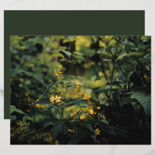 Dunkelgrüne Wiese, Naturfoto Scrapbook Papier