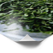 Dunkelgrünes Blattgemüse in Scheiben geschnittenes Fotodruck (Ecke)