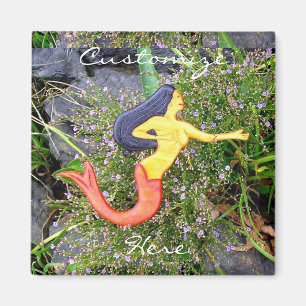 Dunkelhaarige Sehnenjacke, Rotbarbe-Schwanz Magnet