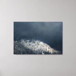 Dunkelheit und Sonne über schneebedeckten Fichtenw Leinwanddruck