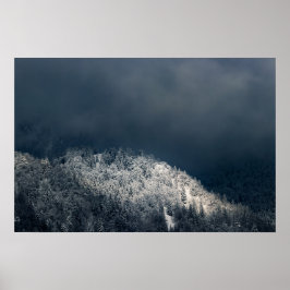 Dunkelheit und Sonne über schneebedeckten Fichtenw Poster