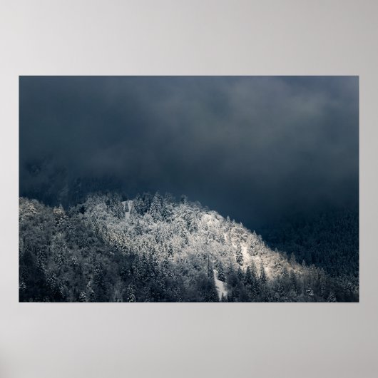 Dunkelheit und Sonne über schneebedeckten Fichtenw Poster (Vorne)