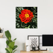 Dunkelorange Poster (Heimbüro)