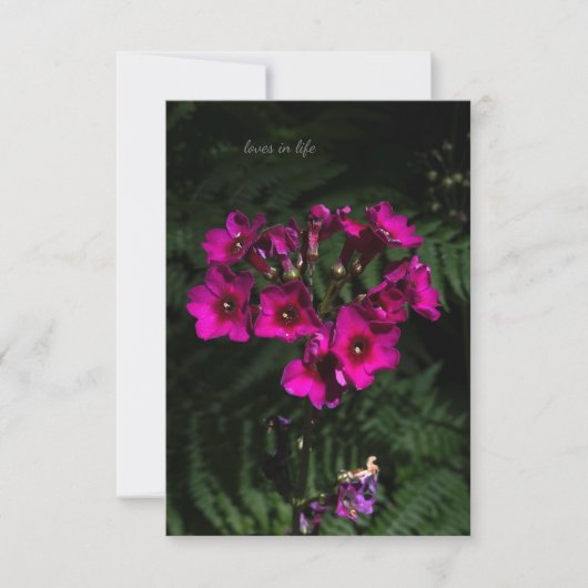 Dunkelrosa Blume mit Ferns Mitteilungskarte (Vorderseite)