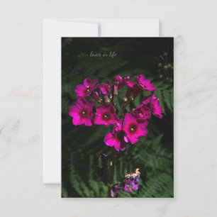 Dunkelrosa Blume mit Ferns Mitteilungskarte