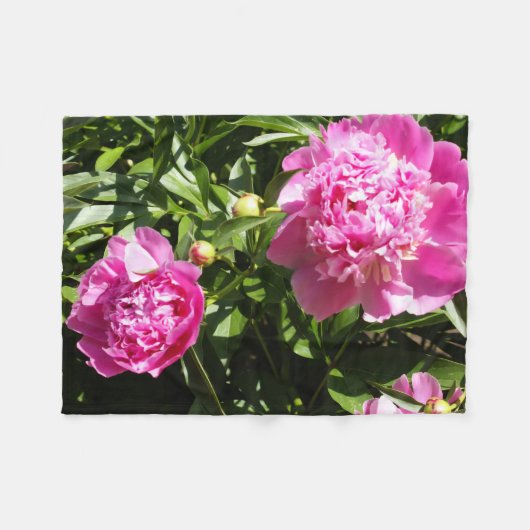 Dunkelrosa Erdnüsse Fleecedecke (Vorderseite (Horizontal))