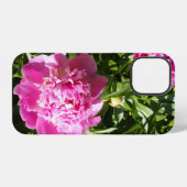 Dunkelrosa Erdnüsse iPhone Hülle (Rückseite (Horizontal))