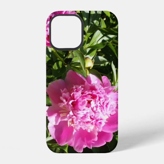 Dunkelrosa Erdnüsse iPhone Hülle (Rückseite)