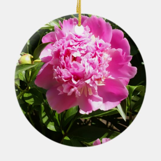 Dunkelrosa Erdnüsse Keramik Ornament (Hinten)