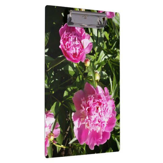 Dunkelrosa Erdnüsse Klemmbrett (Rechts)