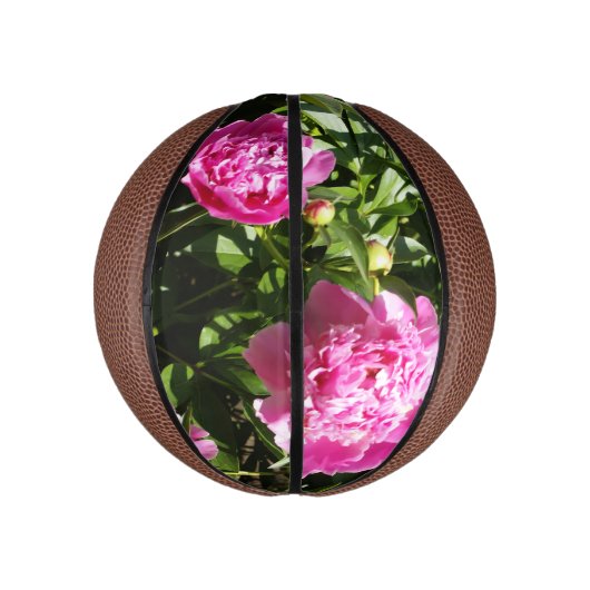 Dunkelrosa Erdnüsse Mini Basketball (Vertikal)