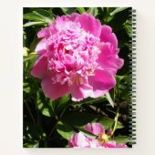 Dunkelrosa Erdnüsse Notizblock (Rückseite)