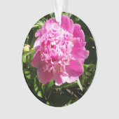 Dunkelrosa Erdnüsse Ornament (Vorderseite)