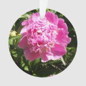 Dunkelrosa Erdnüsse Ornament (Vorderseite)