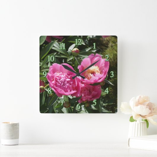 Dunkelrosa Erdnüsse Quadratische Wanduhr (Zuhause)