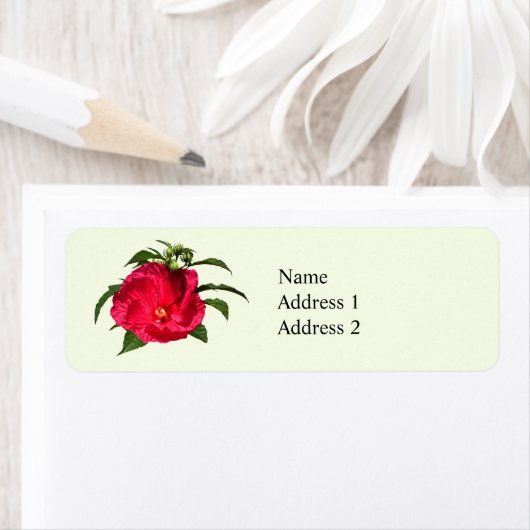 Dunkelrosa Hibiskus (Insitu)