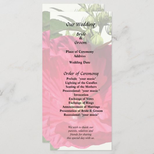 Dunkelrosa Hibiskus Programm (Vorne/Hinten)