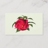 Dunkelrosa Hibiskus Visitenkarte (Rückseite)