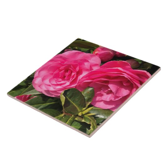 Dunkelrosa Kamelien-Blume Fliese (Seite)