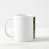 Dunkelrosa Kosmos daisy Blume Kaffeetasse (Links)