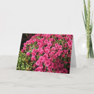 Dunkelrosa Mums Karte