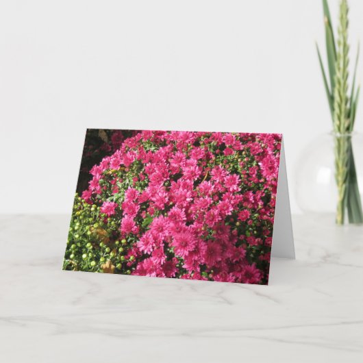 Dunkelrosa Mums Karte (Vorderseite)