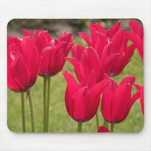 Dunkelrosa oder roter Mauspad mit Tulpen (Vorne)