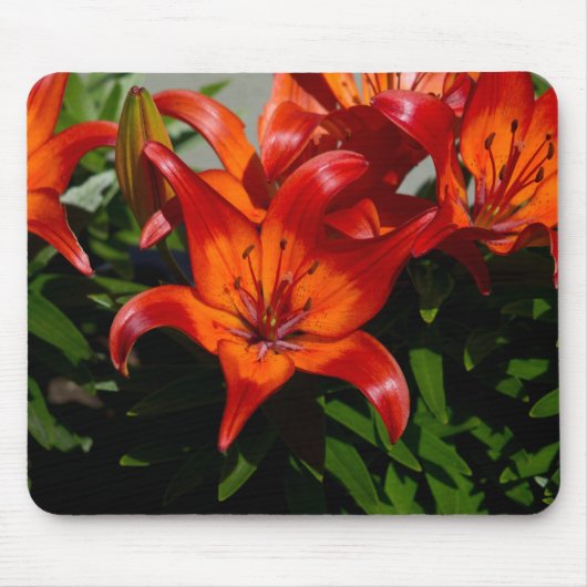 Dunkelrosa Orange Lily Mousepad (Vorne)