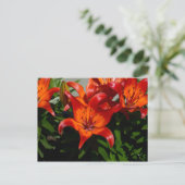 Dunkelrosa Orange Lily Postkarte (Stehend Vorderseite)