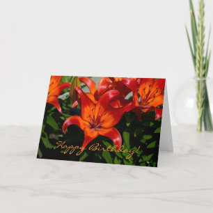 Dunkelrosa Orangefarbene Lilie Karte