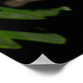 Dunkelrosa Orangefarbene Lilie Poster (Ecke)