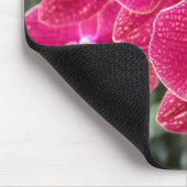 Dunkelrosa Phalaenopsis Mousepad (Ecke)