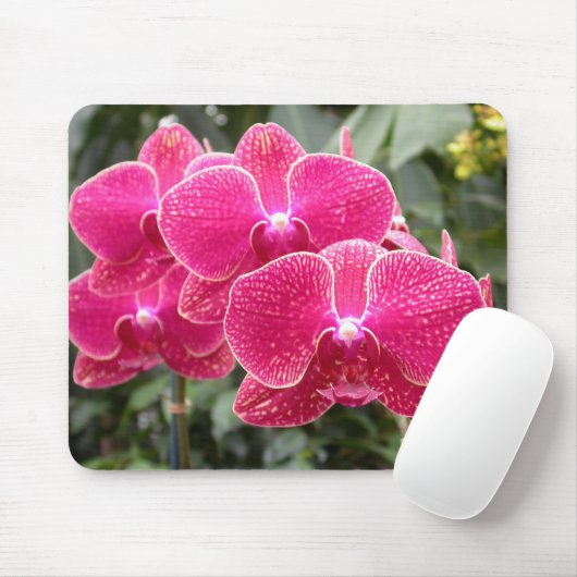 Dunkelrosa Phalaenopsis Mousepad (Mit Mouse)