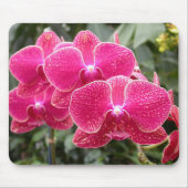 Dunkelrosa Phalaenopsis Mousepad (Vorne)